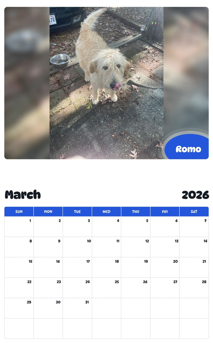 November 2025 - October 2026 Romo - Pawidols Pet Calendar