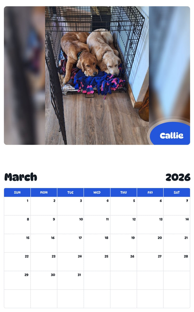 November 2025 - October 2026 Callie - Pawidols Pet Calendar