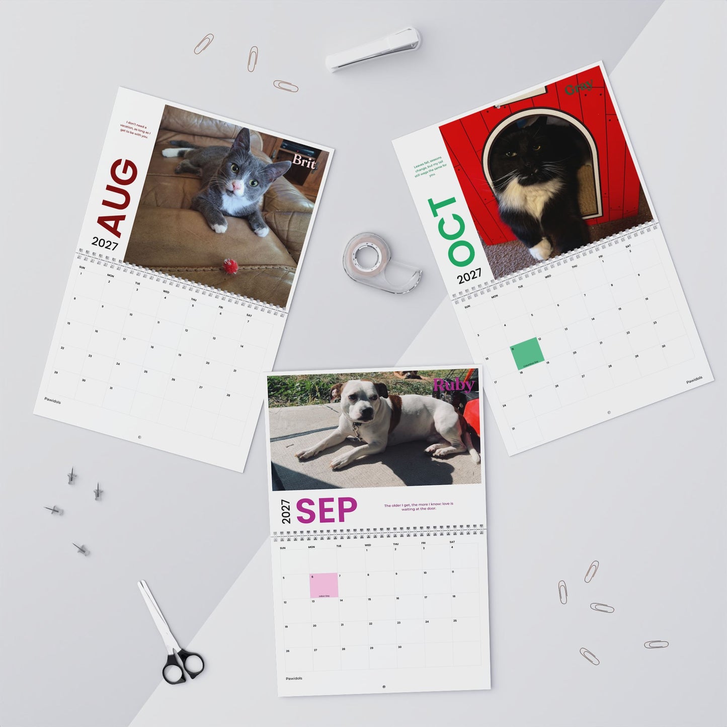 NEW Paw Calendar MIX November 2026 - October 2027