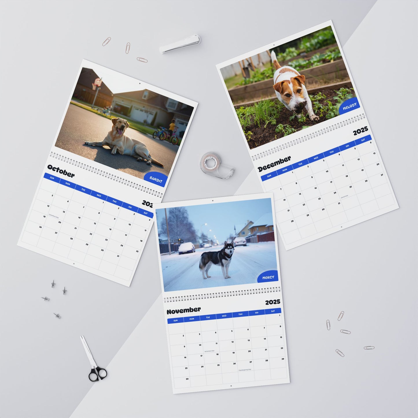 July 2025 - June 2026 TEST01 - Pawidols Pet Calendar (Copy 1753168448741)