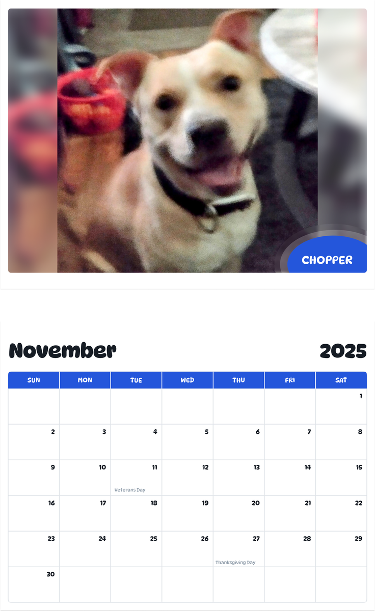 July 2025 - June 2026 Chopper - Pawidols Pet Calendar