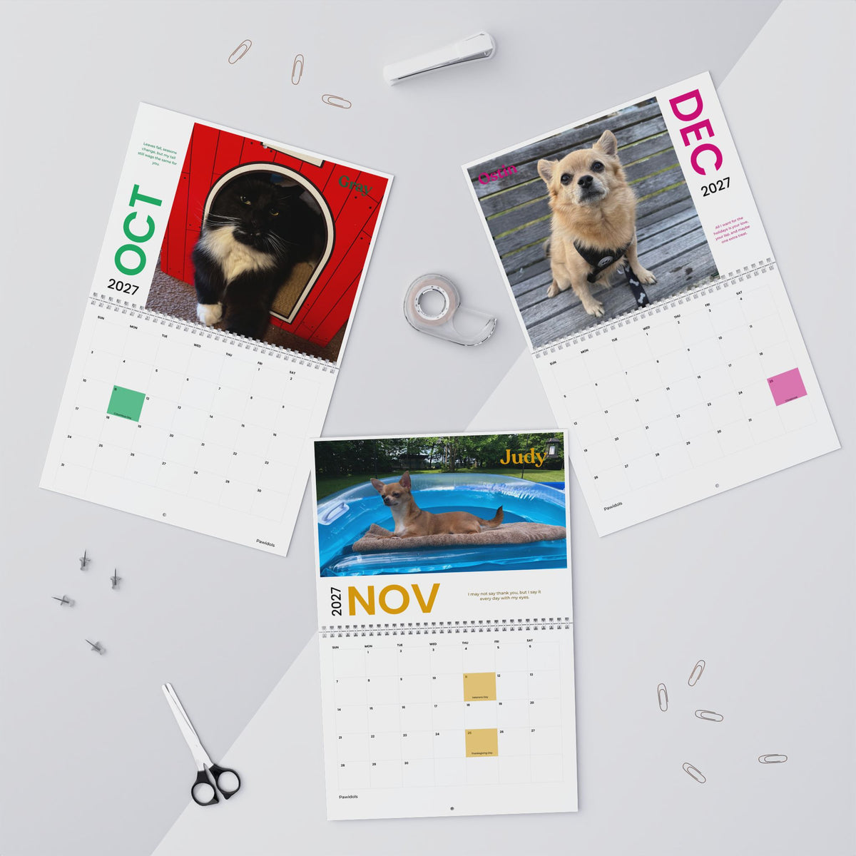 Paw Calendar MIX 2027