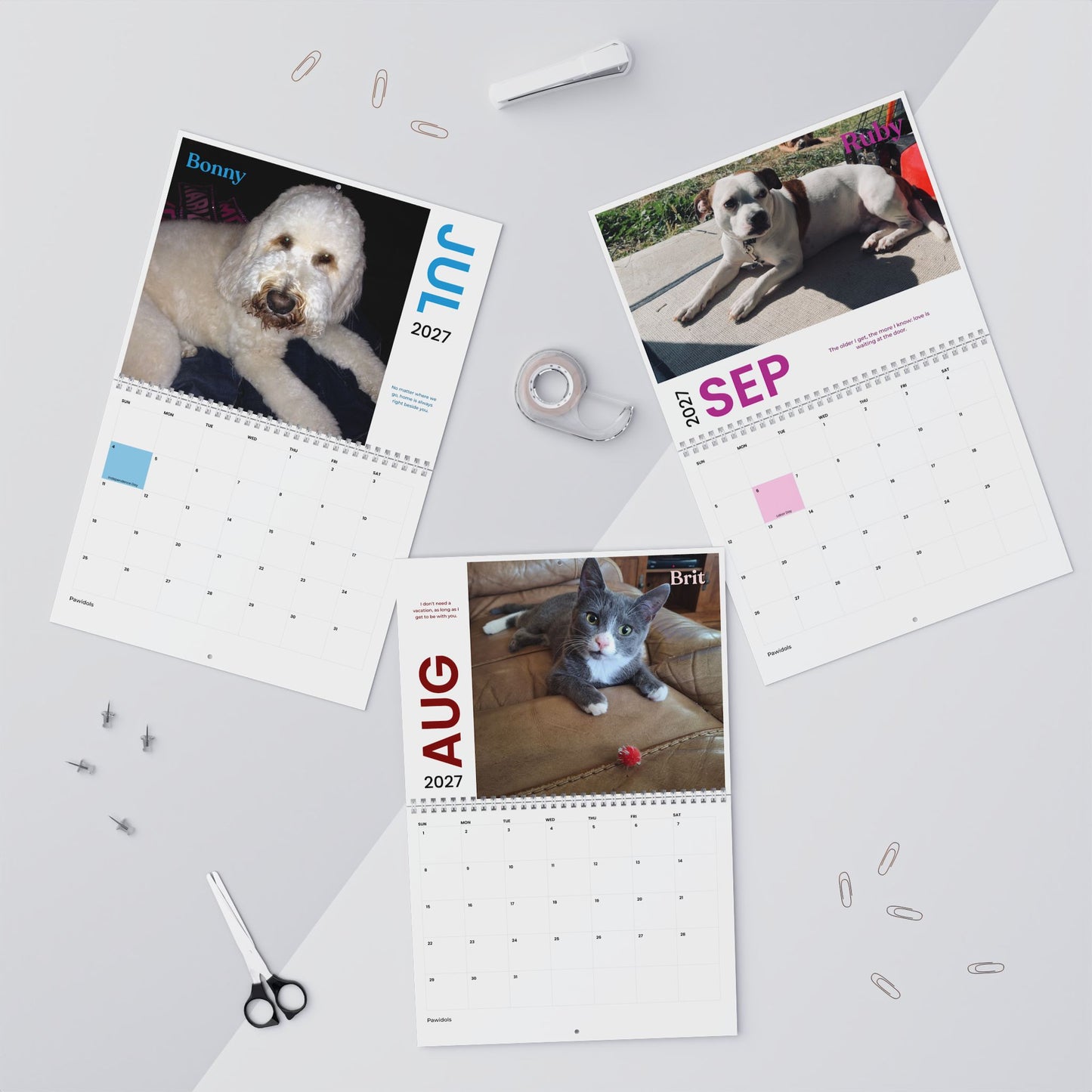 NEW Paw Calendar MIX October 2026 - September 2027