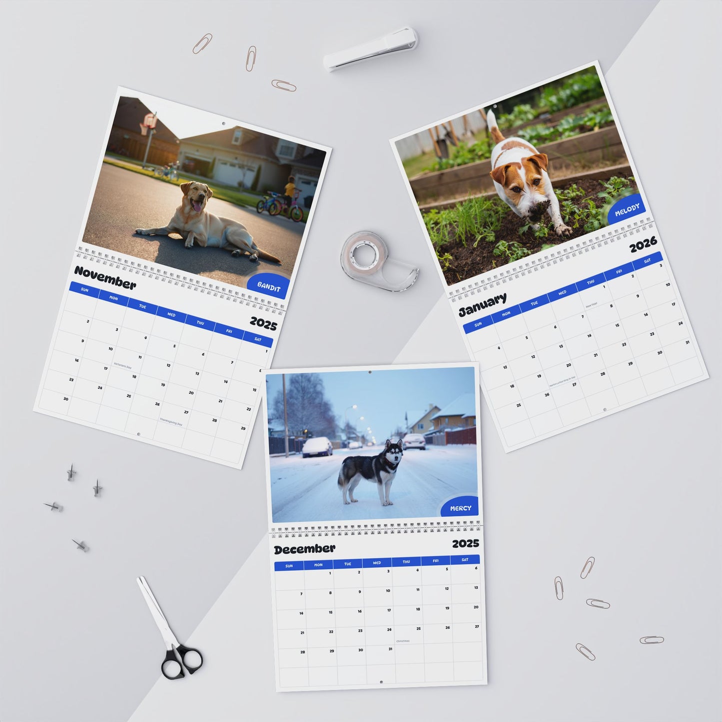 November 2025 - October 2026 Carrie Sue - Pawidols Pet Calendar