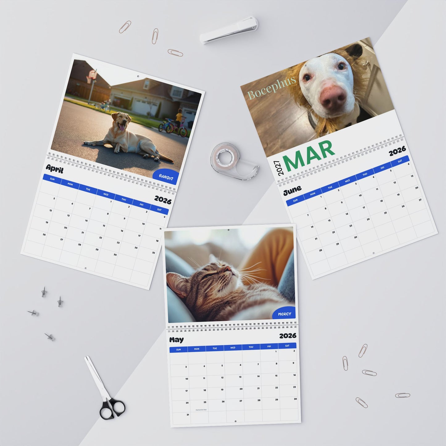July 2026 - June 2027 Bocephus - Pawidols Pet Calendar