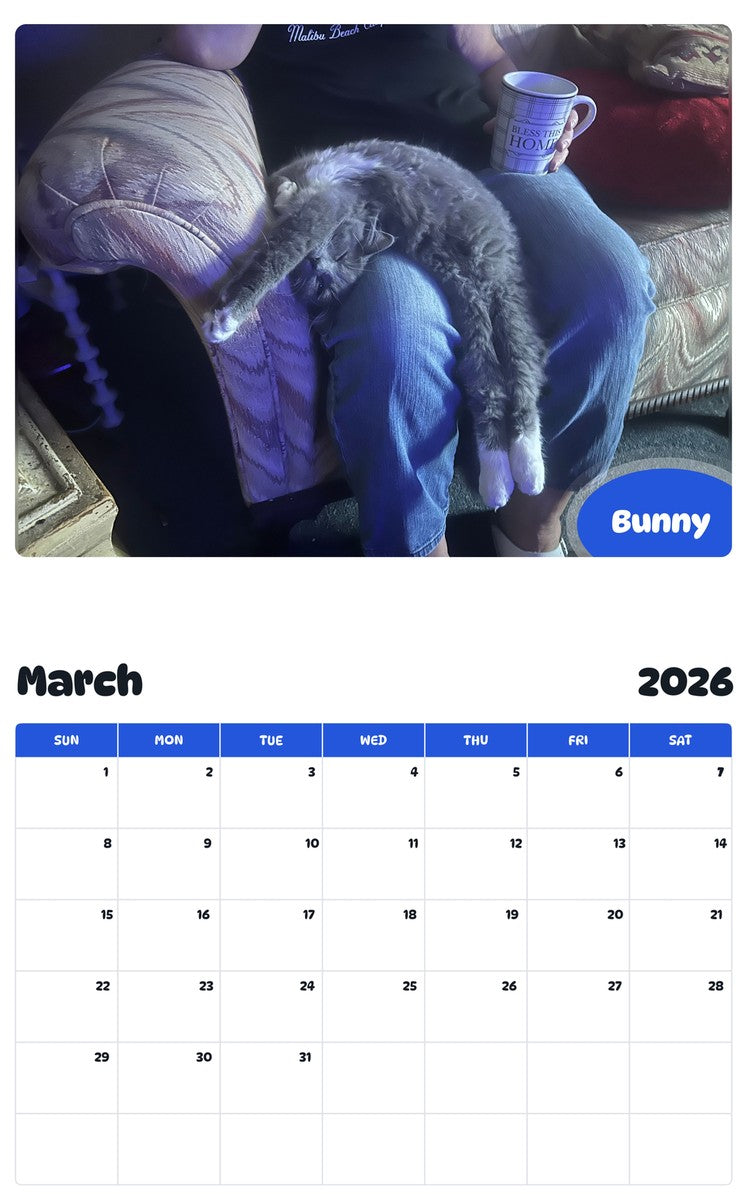 November 2025 - October 2026 Bunny - Pawidols Pet Calendar
