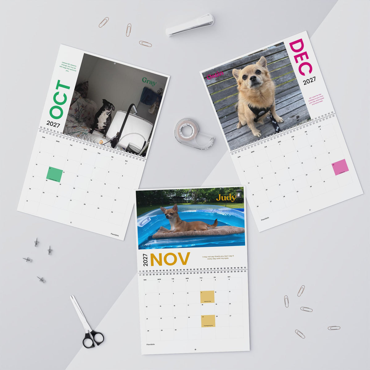 Paw Calendar Dog 2027