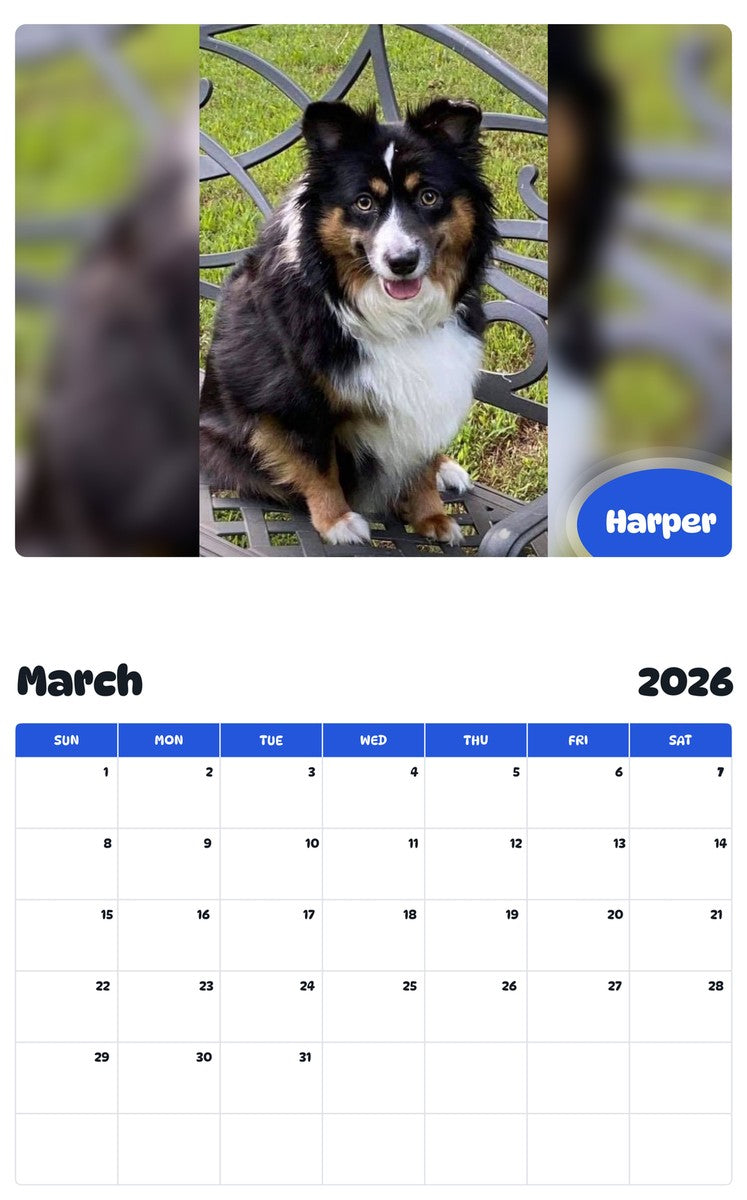 November 2025 - October 2026 Harper - Pawidols Pet Calendar