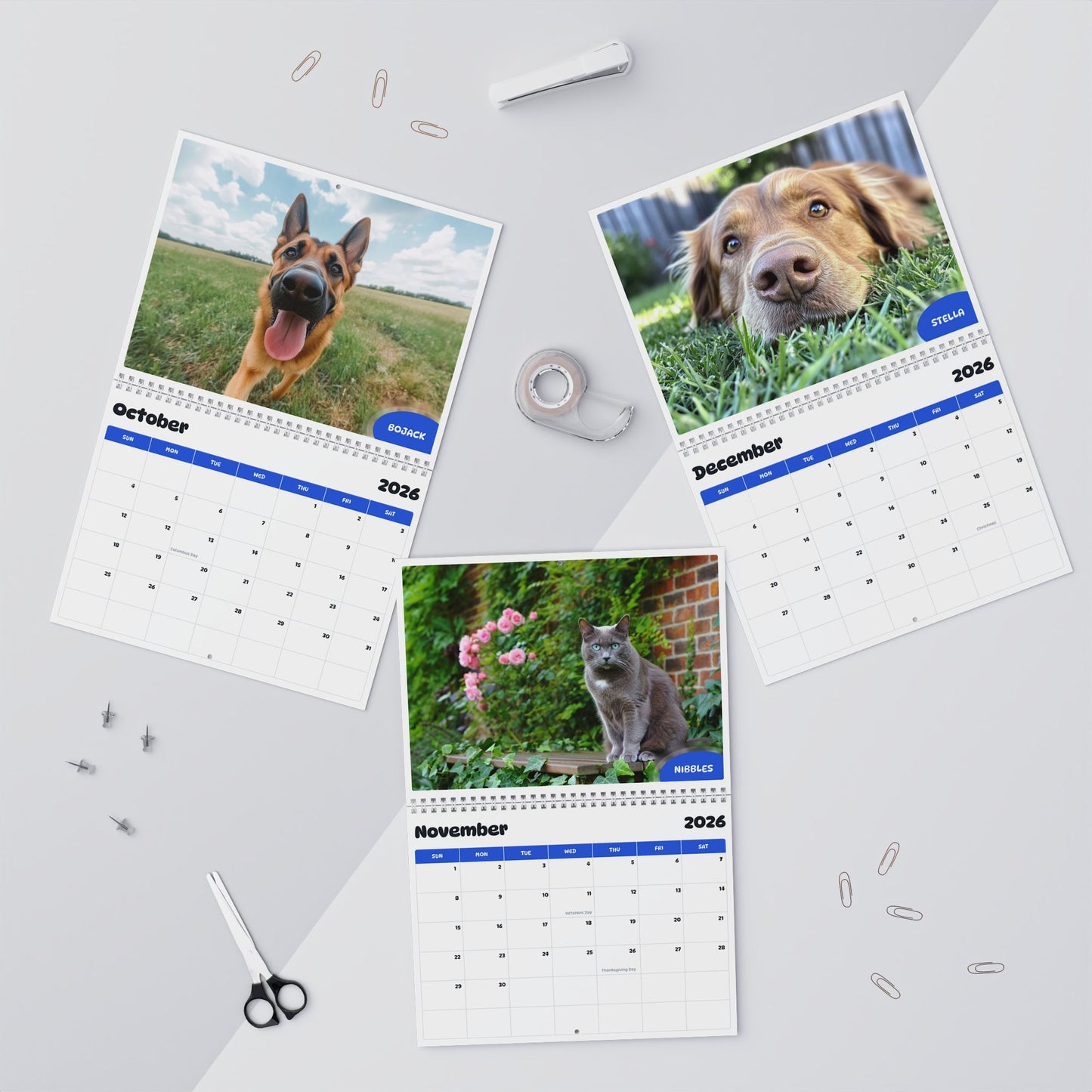 Paw Calendar MIX 2026 -2027