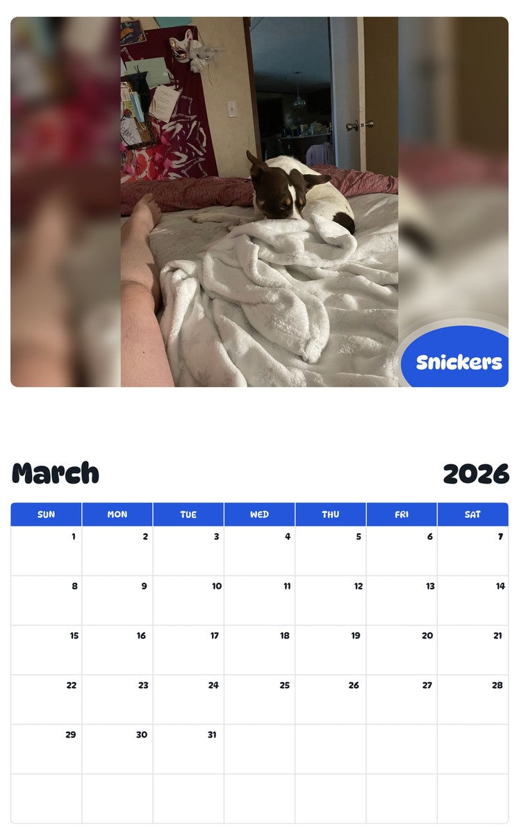 November 2025 - October 2026 Snickers - Pawidols Pet Calendar