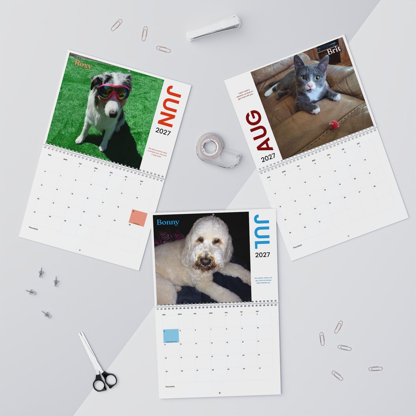 NEW Paw Calendar MIX September 2026 - August 2027