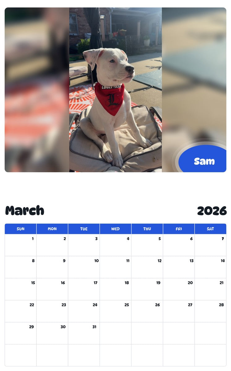 November 2025 - October 2026 Sam - Pawidols Pet Calendar