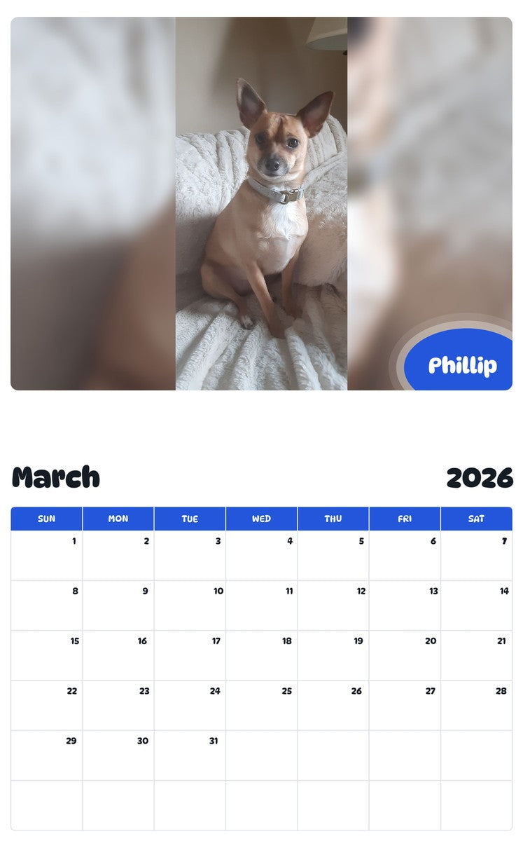 November 2025 - October 2026 Phillip - Pawidols Pet Calendar
