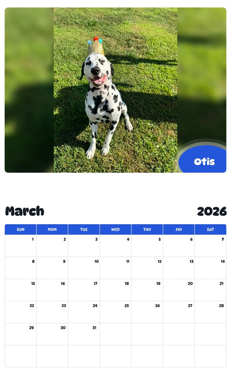 November 2025 - October 2026 Otis - Pawidols Pet Calendar