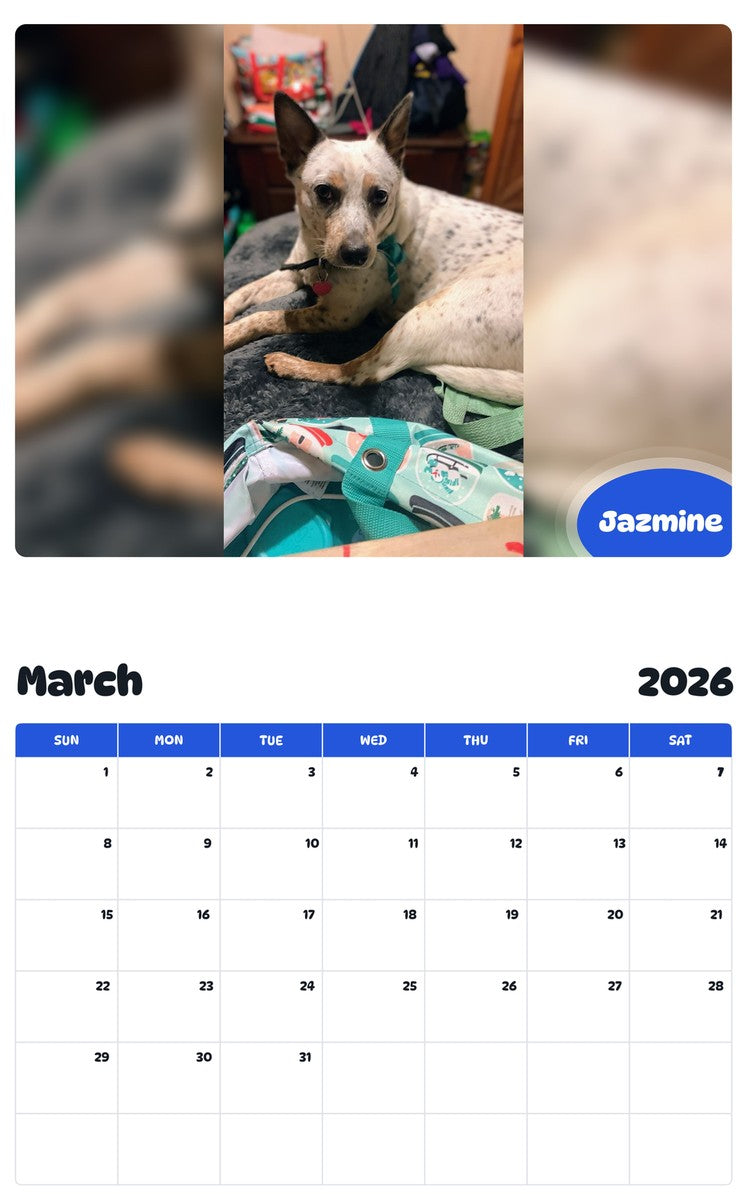 November 2025 - October 2026 Jazmine - Pawidols Pet Calendar