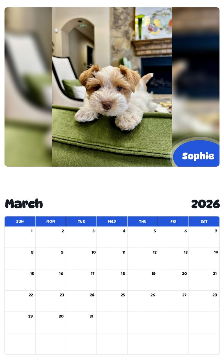November 2025 - October 2026 Sophie - Pawidols Pet Calendar