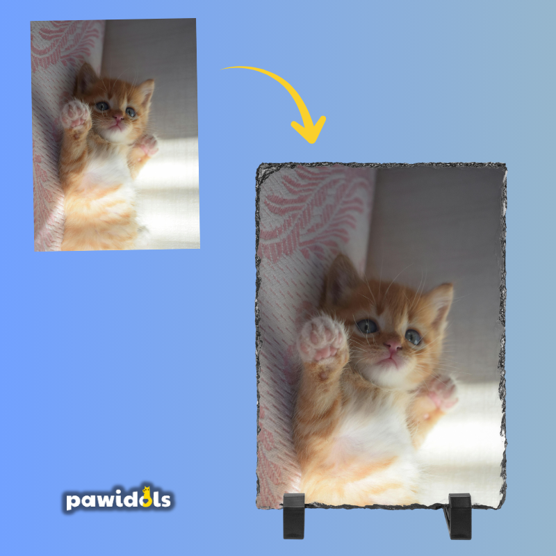 Custom Personalized Photo Slate
