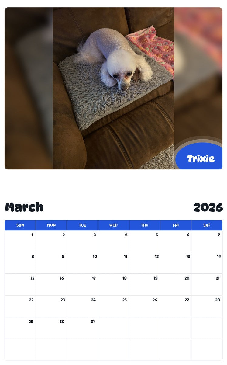 November 2025 - October 2026 Trixie - Pawidols Pet Calendar