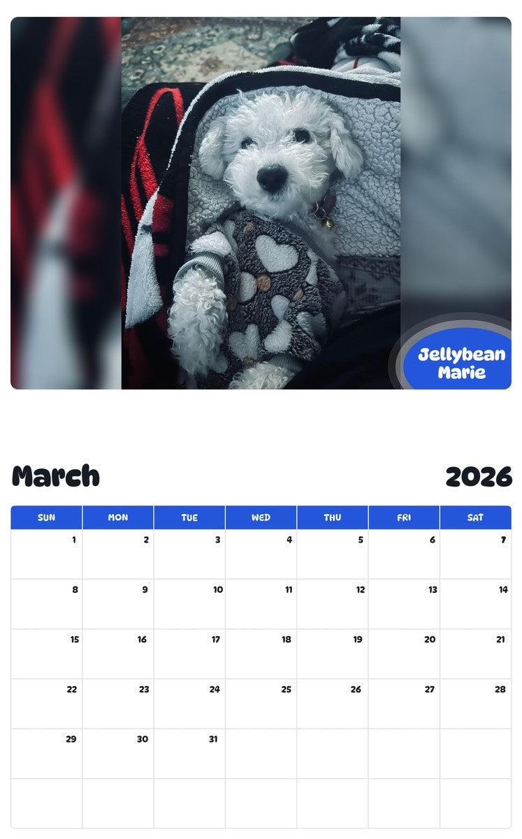 November 2025 - October 2026 Jellybean Marie - Pawidols Pet Calendar