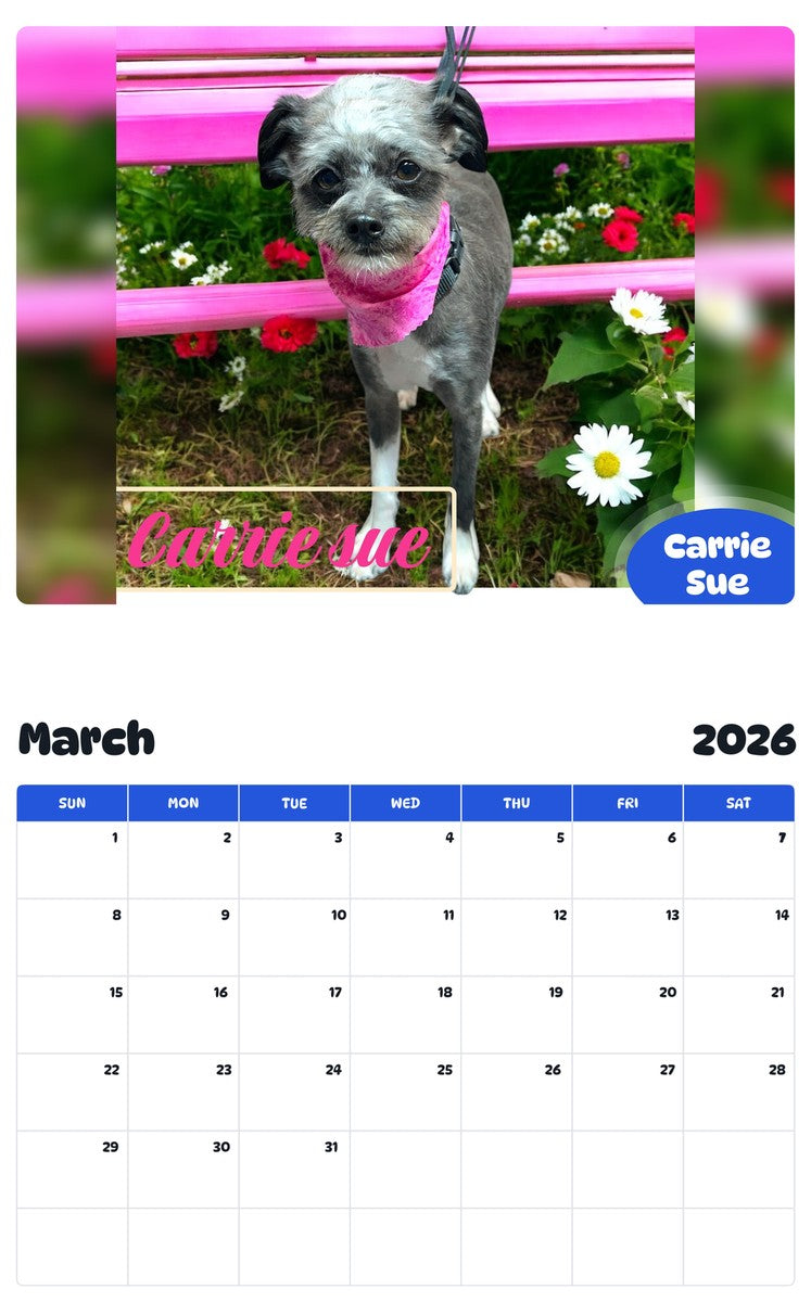 November 2025 - October 2026 Carrie Sue - Pawidols Pet Calendar