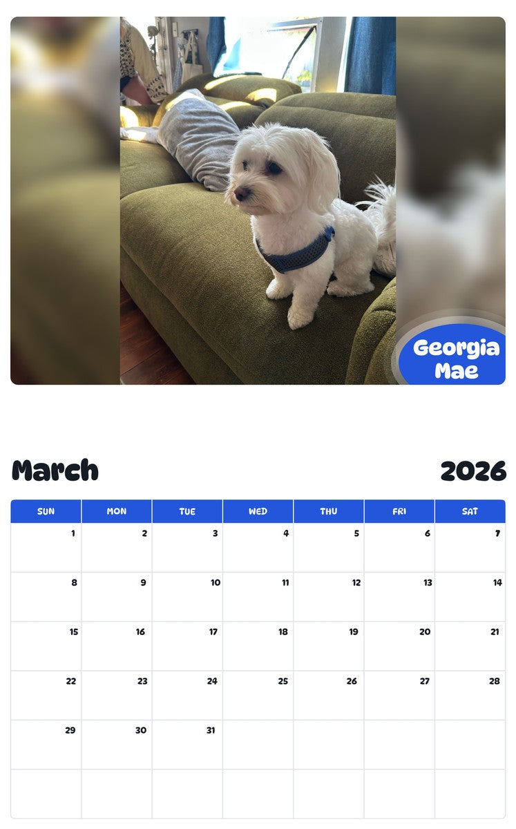 November 2025 - October 2026 Georgia Mae - Pawidols Pet Calendar