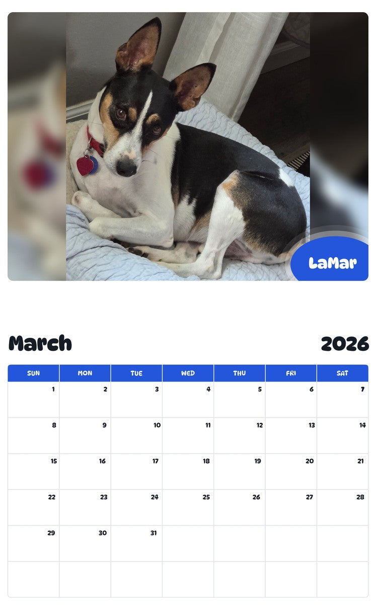 November 2025 - October 2026 LaMar - Pawidols Pet Calendar