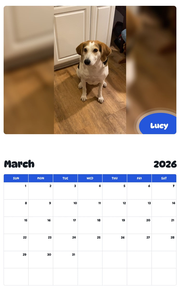 November 2025 - October 2026 Lucy - Pawidols Pet Calendar