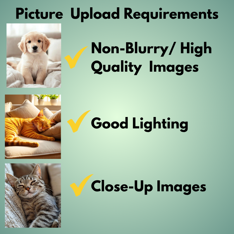 Custom Personalized Bubble-Free 4"x4" Pet Sticker