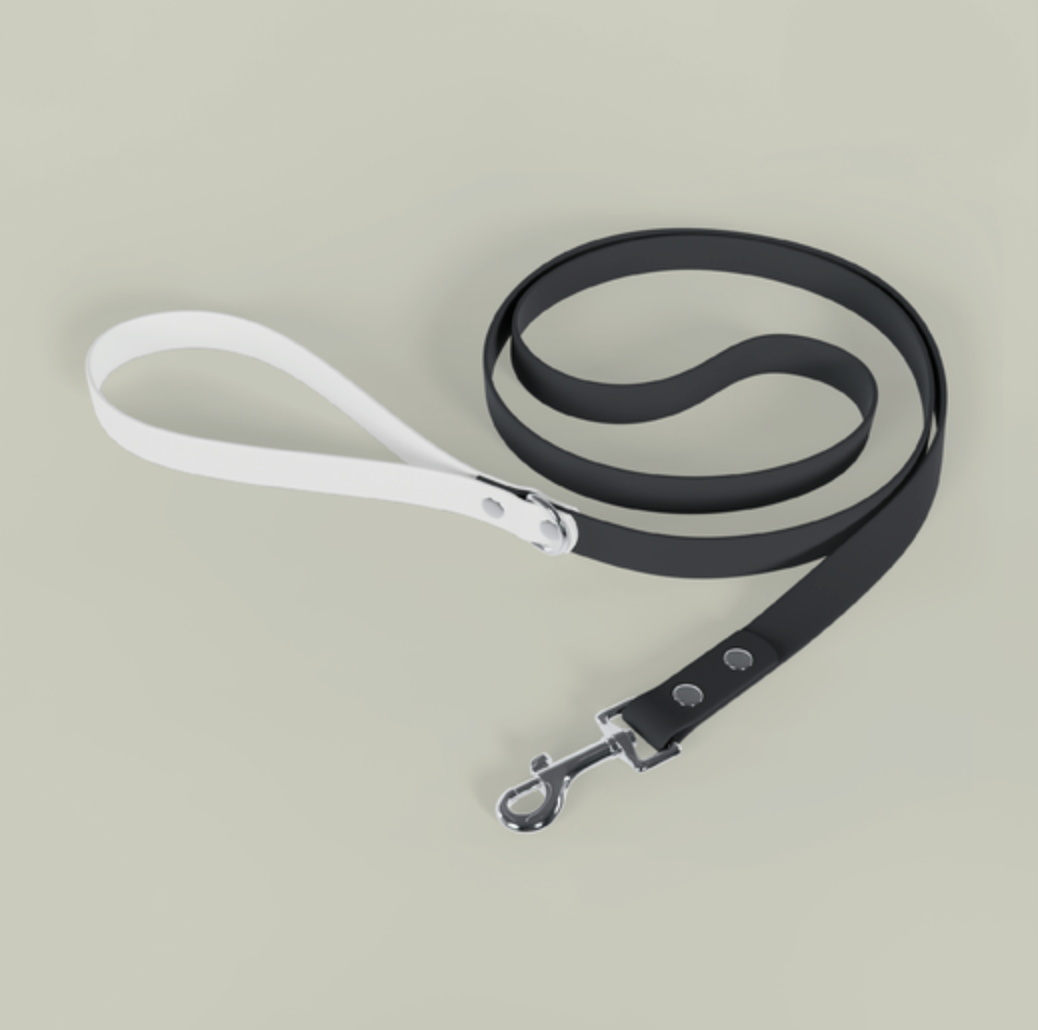 Leash