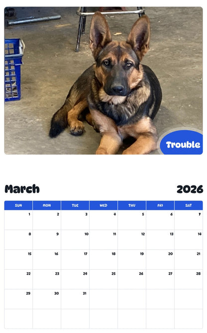 November 2025 - October 2026 Trouble - Pawidols Pet Calendar