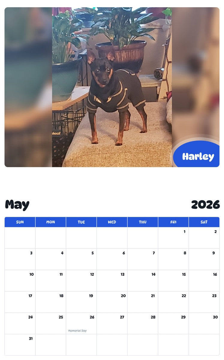 2026 - 2027 Harley - Pawidols Pet Calendar