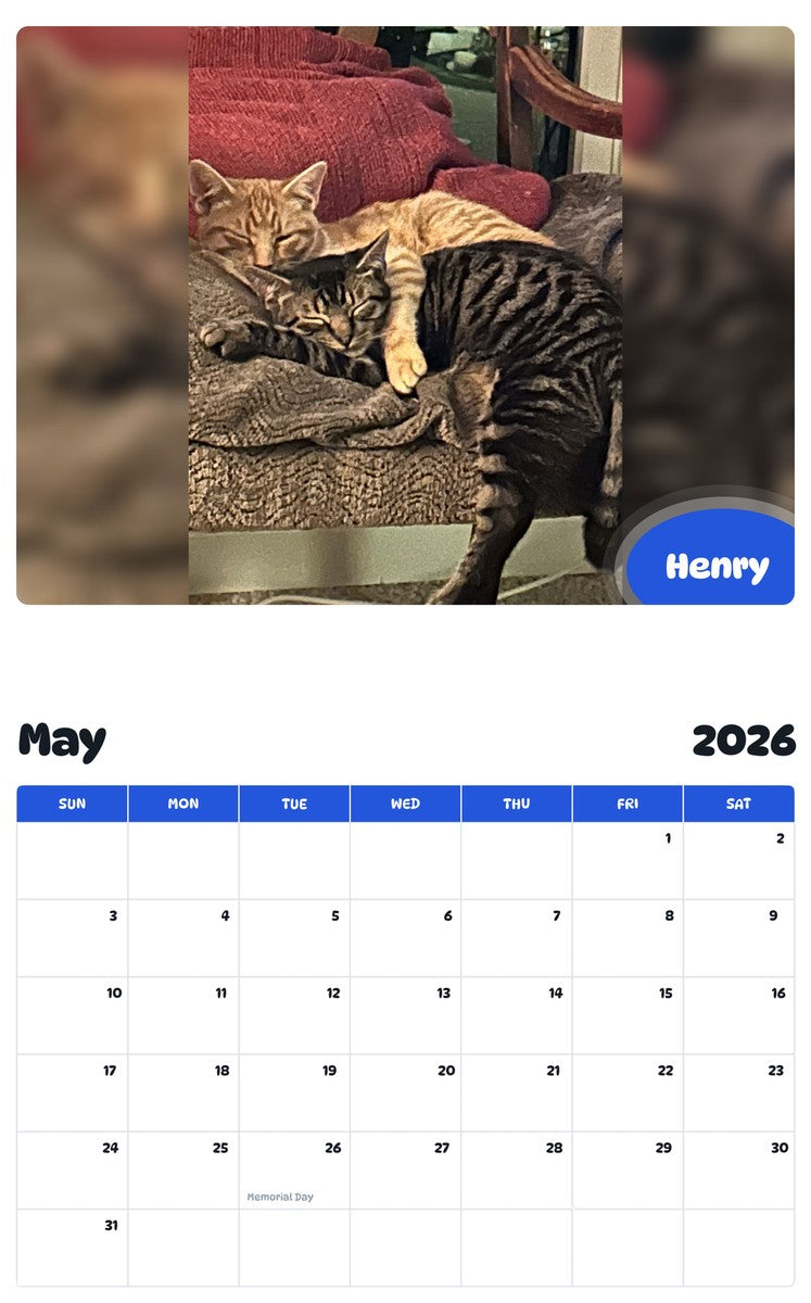 2026 - 2027 Henry - Pawidols Pet Calendar