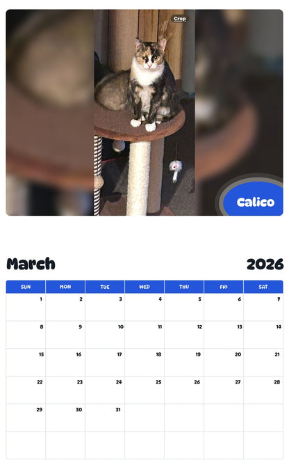 November 2025 - October 2026 Calico - Pawidols Pet Calendar