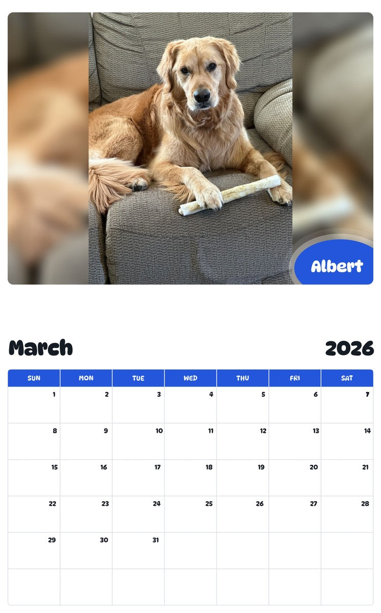 November 2025 - October 2026 Albert - Pawidols Pet Calendar