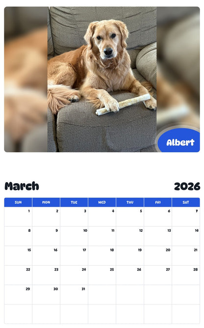 November 2025 - October 2026 Albert - Pawidols Pet Calendar