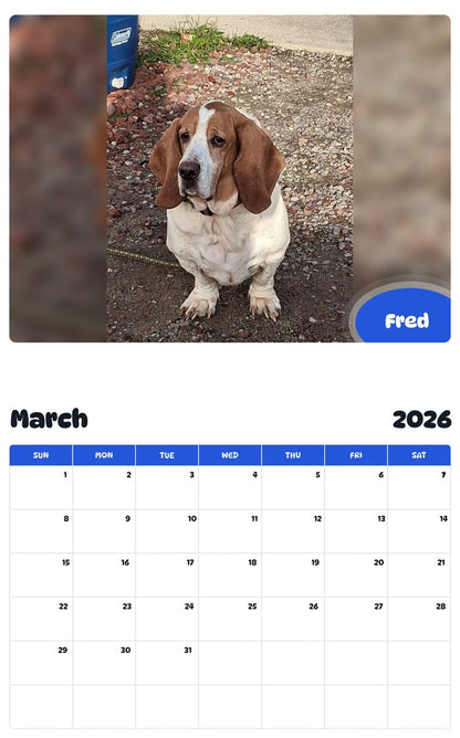 November 2025 - October 2026 Fred - Pawidols Pet Calendar