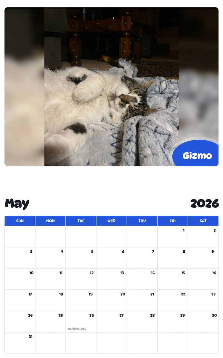 2026 - 2027 Gizmo - Pawidols Pet Calendar