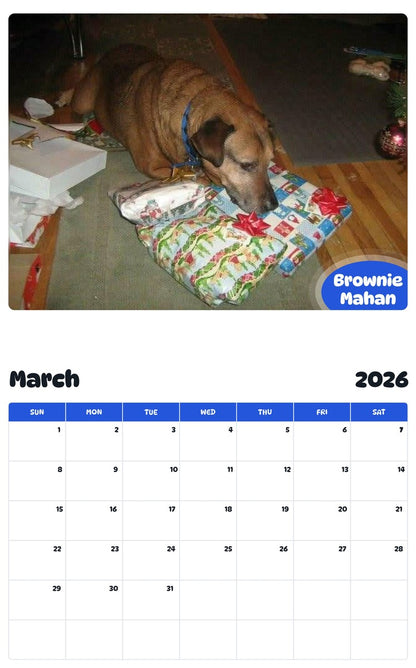 November 2025 - October 2026 Brownie Mahan - Pawidols Pet Calendar