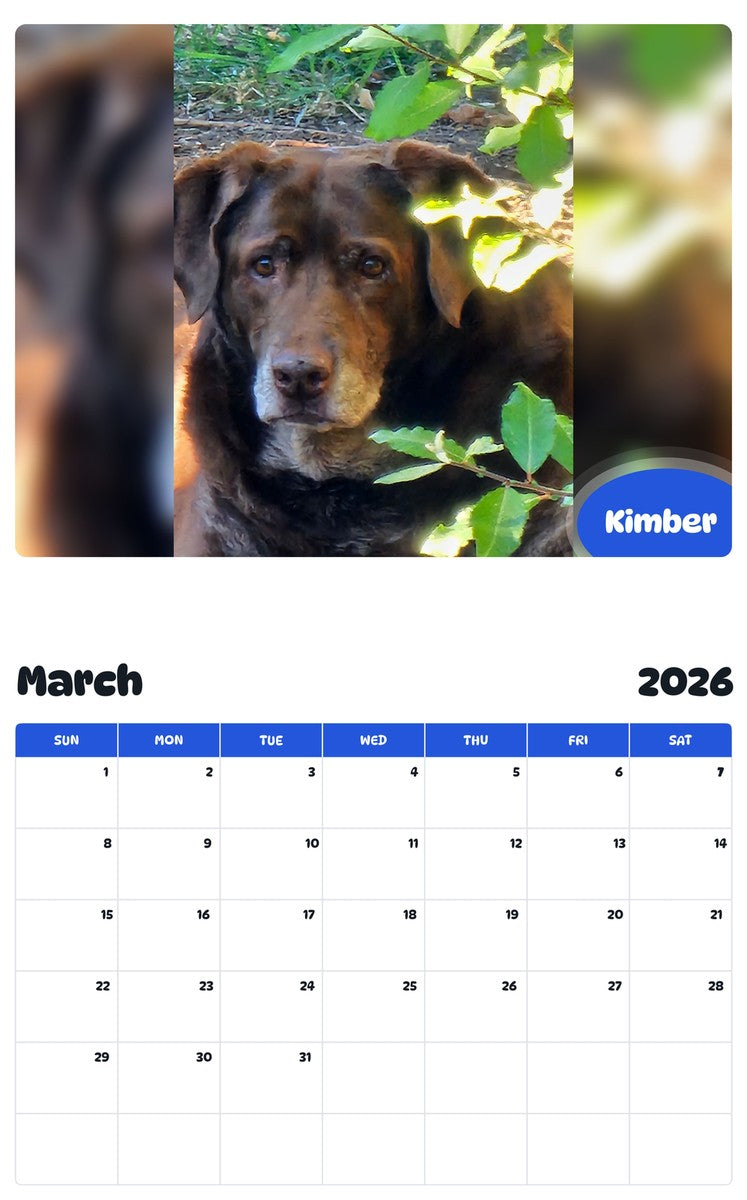 November 2025 - October 2026 Kimber - Pawidols Pet Calendar