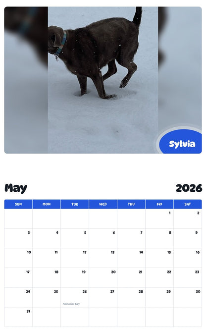 2026 - 2027 Sylvia - Pawidols Pet Calendar