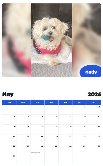 2026 - 2027 Molly - Pawidols Pet Calendar