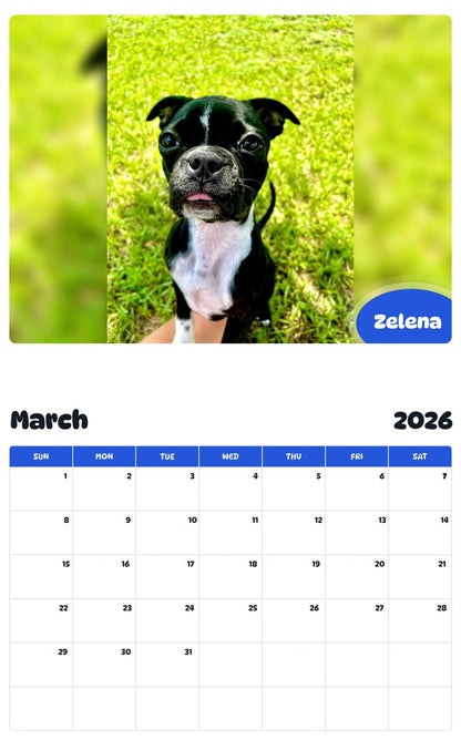 November 2025 - October 2026 Zelena - Pawidols Pet Calendar
