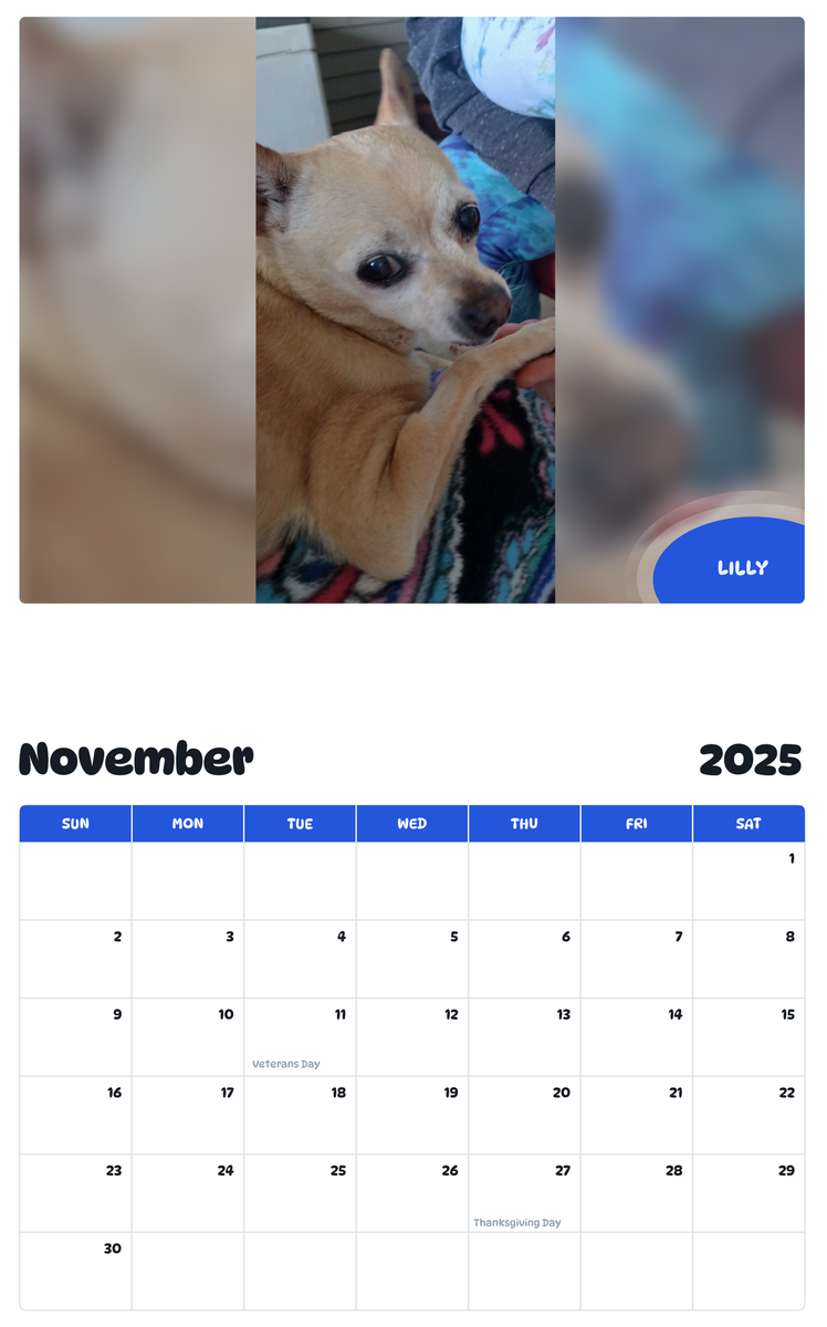 July 2025 - June 2026 Lilly - Pawidols Pet Calendar