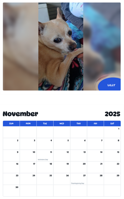 July 2025 - June 2026 Lilly - Pawidols Pet Calendar
