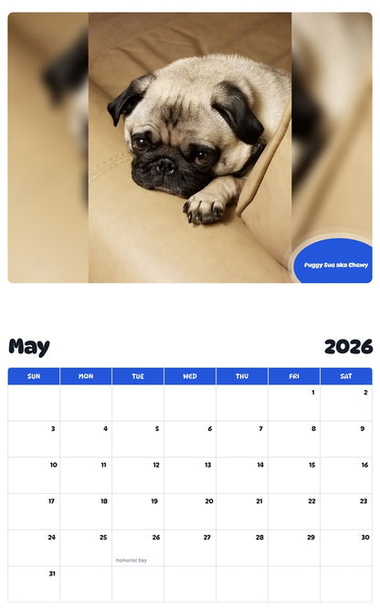 2026 - 2027 Puggy Sue aka Chewy - Pawidols Pet Calendar