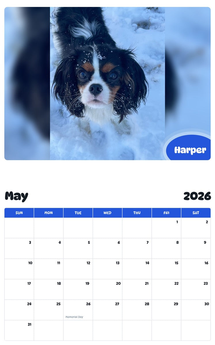 2026 - 2027 Harper - Pawidols Pet Calendar
