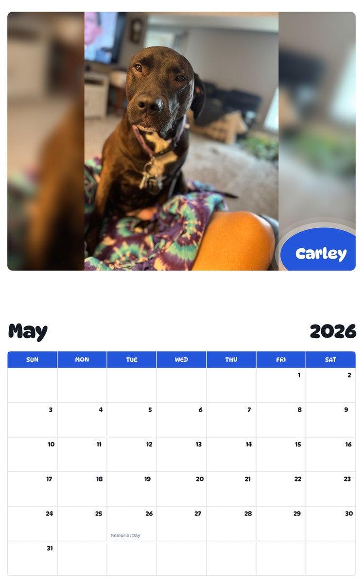 2026 - 2027 Carley - Pawidols Pet Calendar