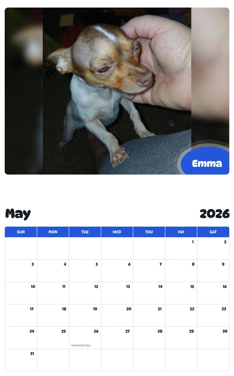 2026 - 2027 Emma - Pawidols Pet Calendar