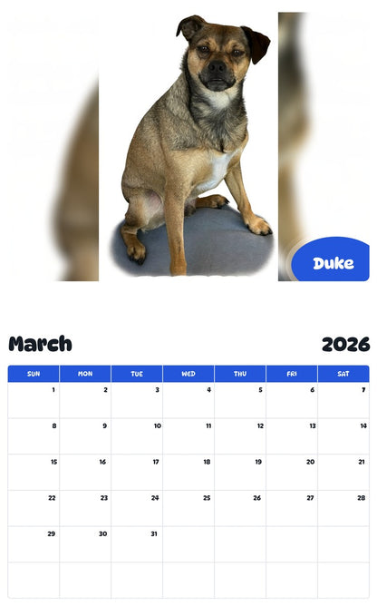 November 2025 - October 2026 Duke - Pawidols Pet Calendar
