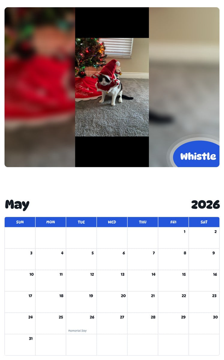 2026 - 2027 Whistle - Pawidols Pet Calendar